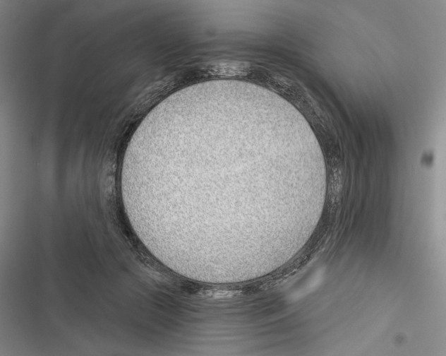 X0000116380553201001131811
