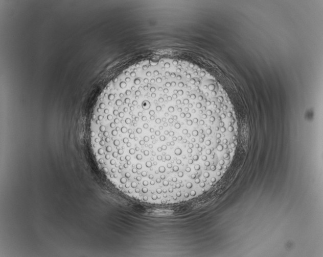 X0000116380554201001131811