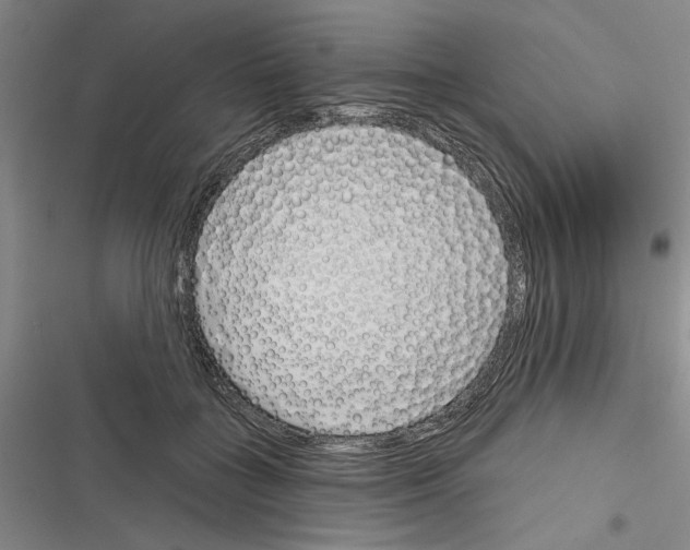 X0000116380555201001131811