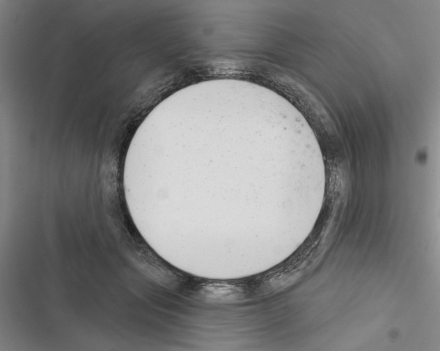 X0000116380557201001131811