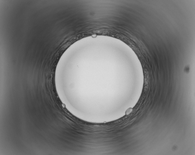 X0000116380558201001131811