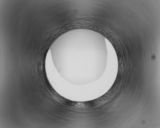 X0000116380562201001131811