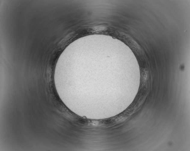 X0000116380565201001131811