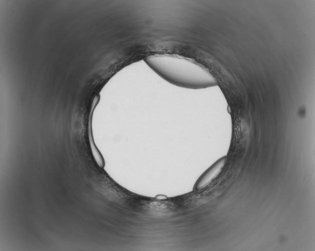 X0000116380566201001131811