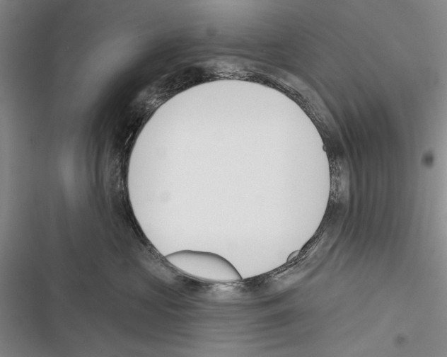 X0000116380573201001131811