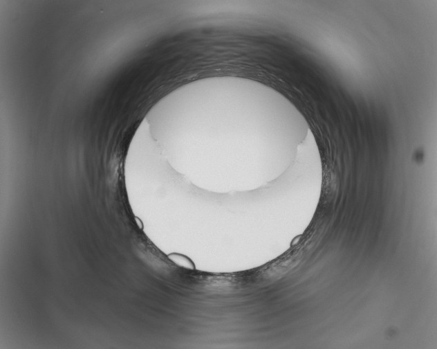 X0000116380574201001131811