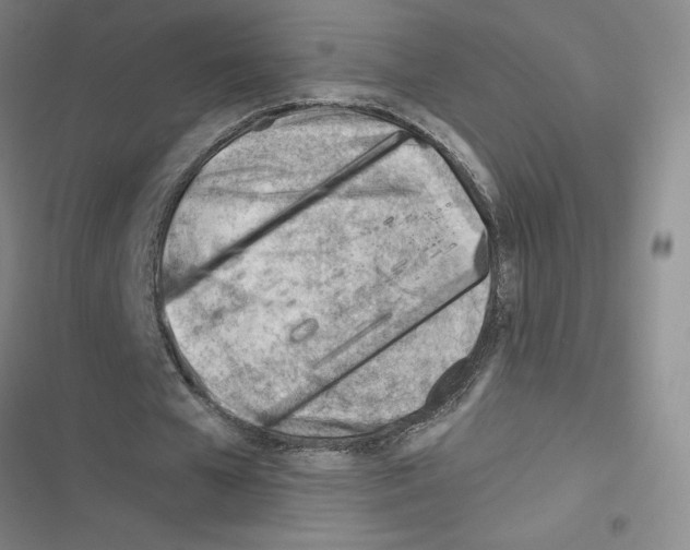 X0000116380577201001131810