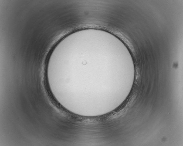 X0000116380578201001131810