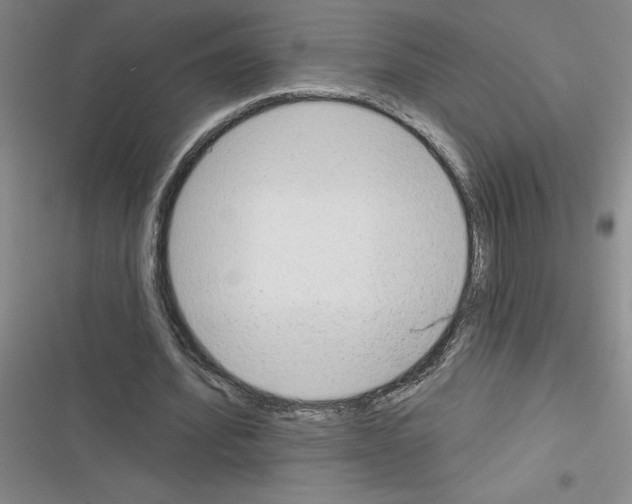 X0000116380580201001131810