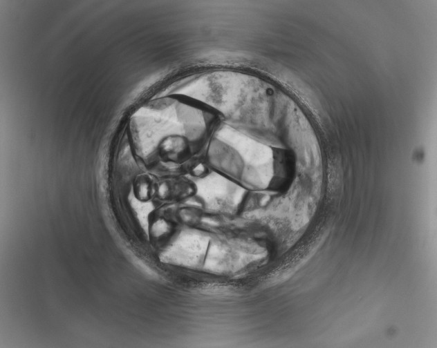 X0000116380581201001131810