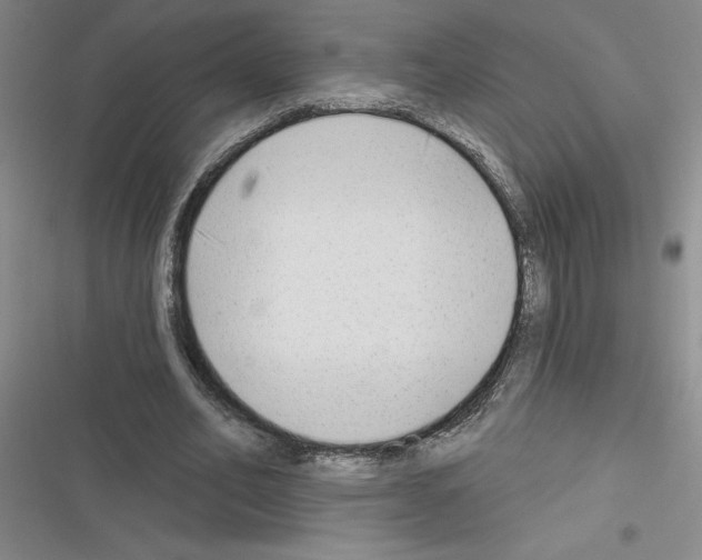 X0000116380582201001131810