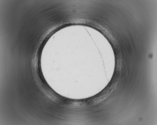 X0000116380584201001131810