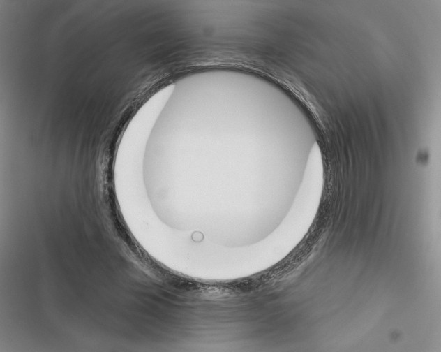X0000116380585201001131810