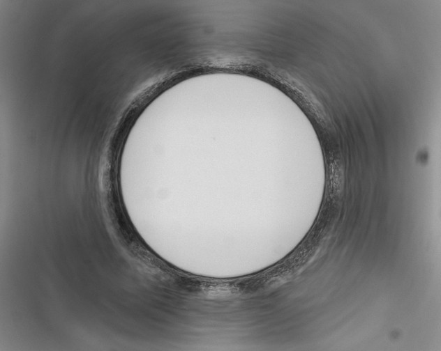 X0000116380587201001131810