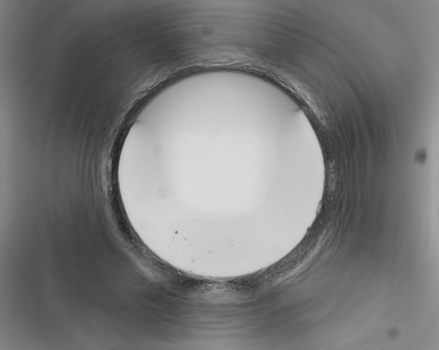 X0000116380589201001131810