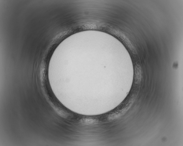 X0000116380590201001131810