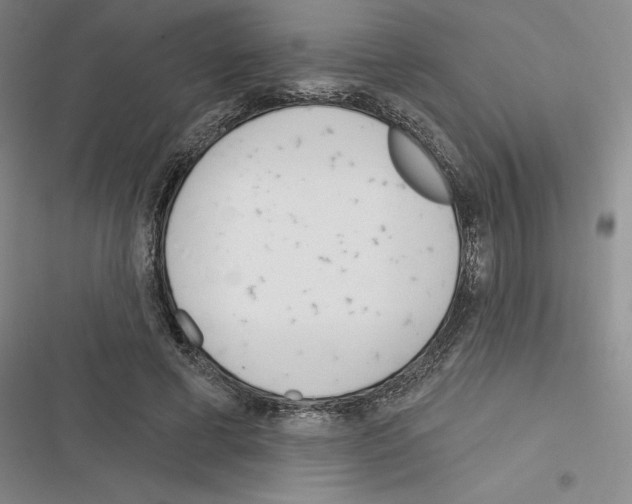 X0000116380593201001131810