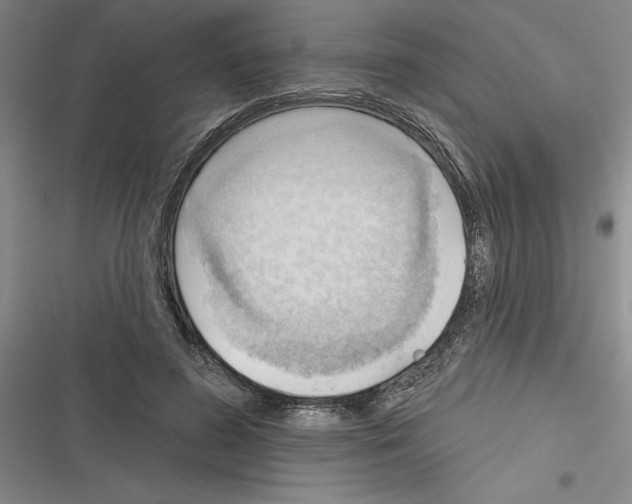 X0000116380596201001131810