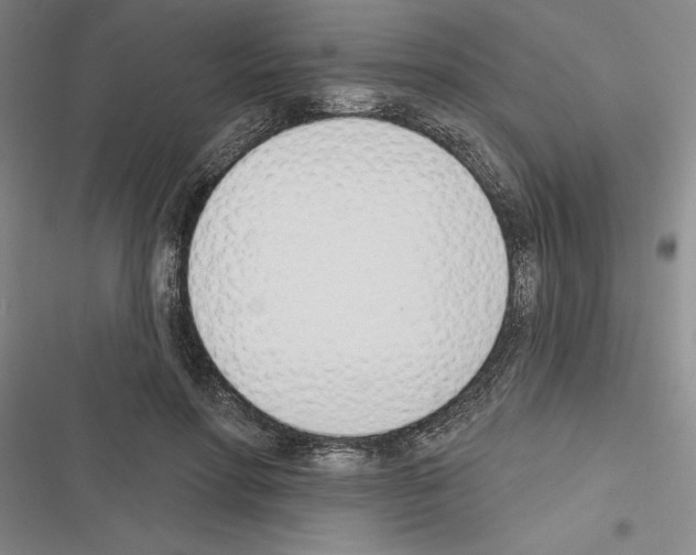 X0000116380598201001131810