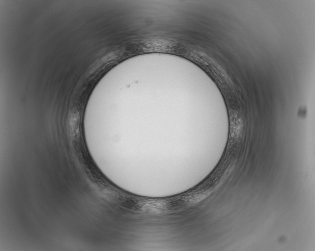 X0000116380599201001131810