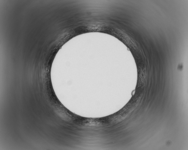 X0000116380601201001131810