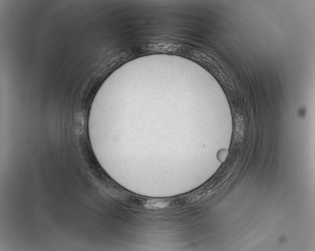 X0000116380602201001131810