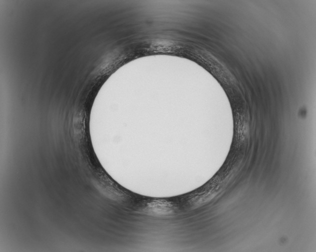X0000116380603201001131810