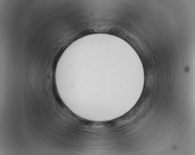 X0000116380604201001131810