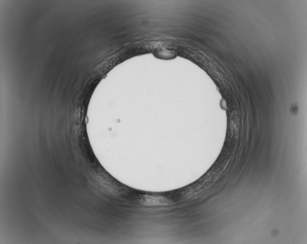 X0000116380605201001131810