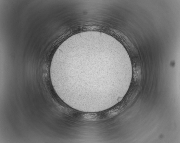 X0000116380606201001131810