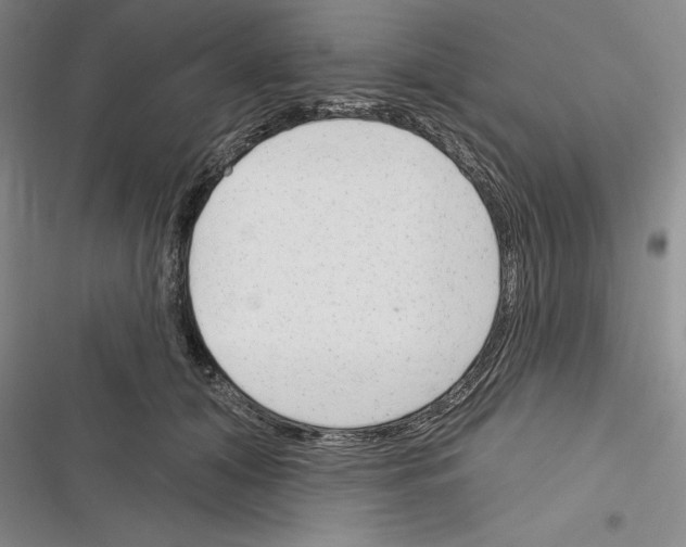 X0000116380608201001131810
