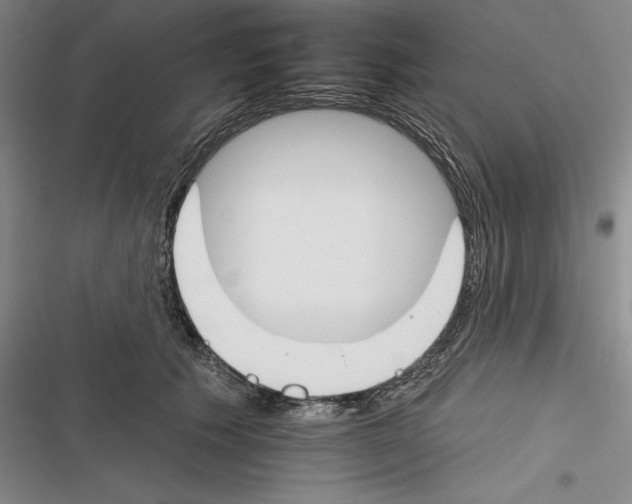 X0000116380609201001131810