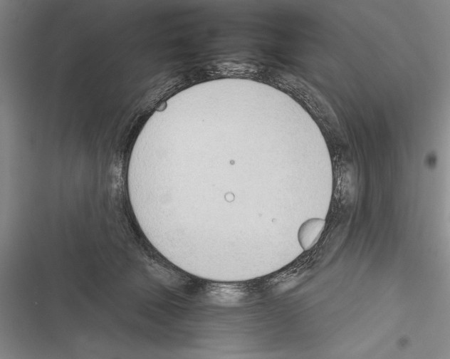 X0000116380610201001131810
