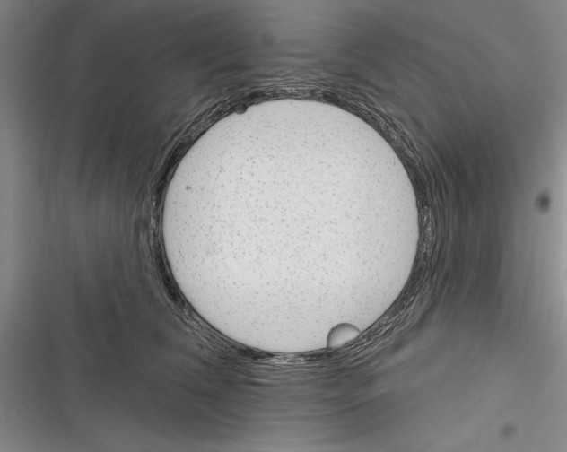 X0000116380612201001131810