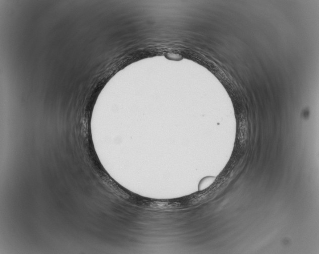 X0000116380613201001131810