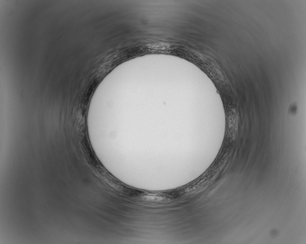 X0000116380614201001131810