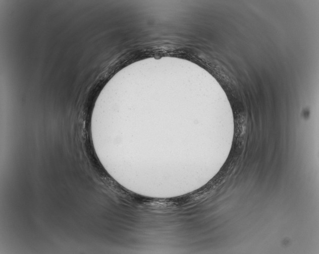 X0000116380615201001131810
