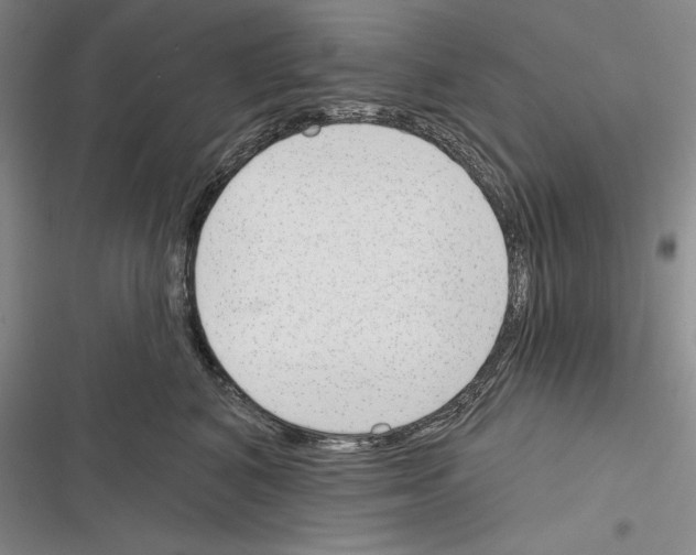 X0000116380616201001131810