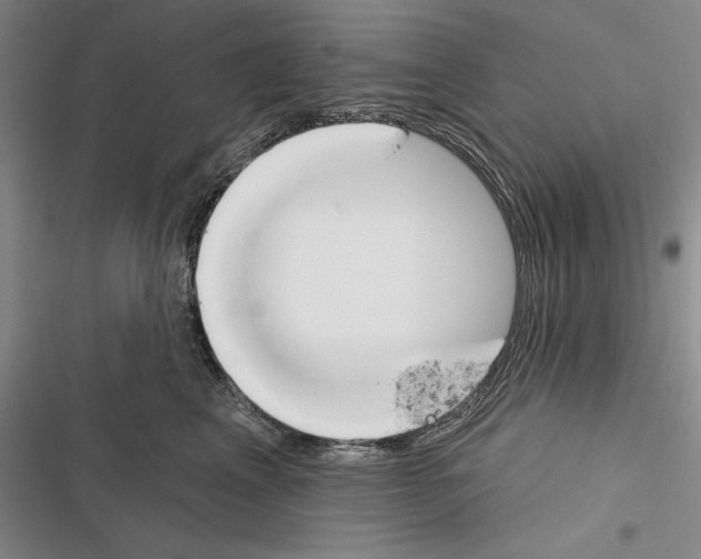 X0000116380617201001131810