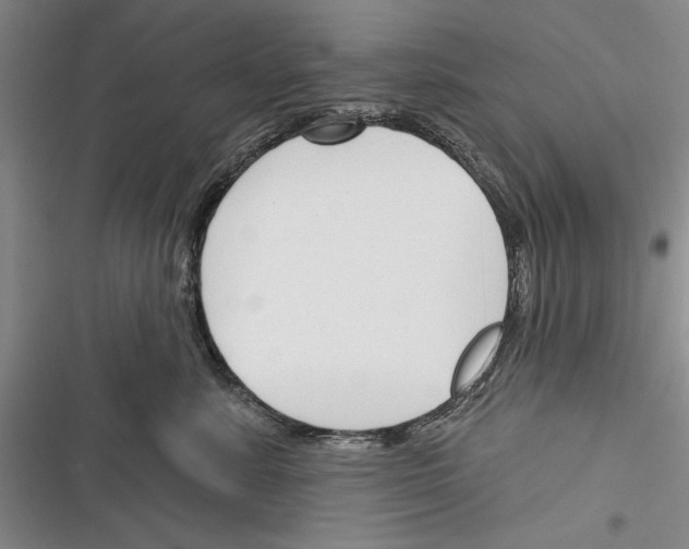 X0000116380619201001131810