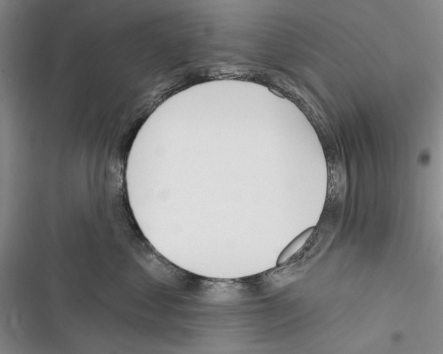 X0000116380621201001131810