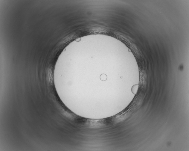 X0000116380622201001131810