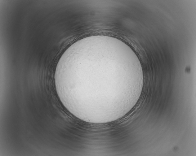 X0000116380623201001131810