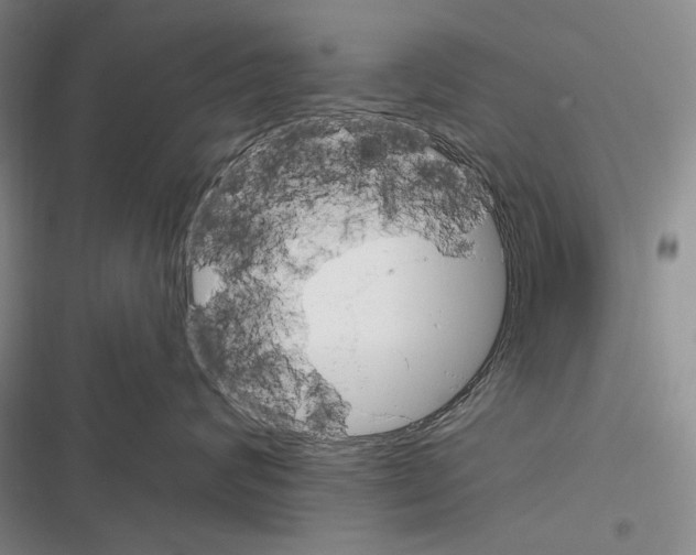 X0000116380624201001131810