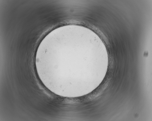 X0000116380625201001131809
