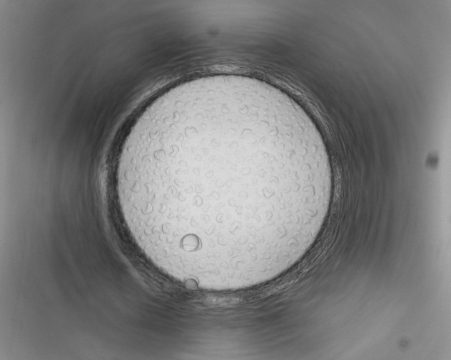 X0000116380626201001131809
