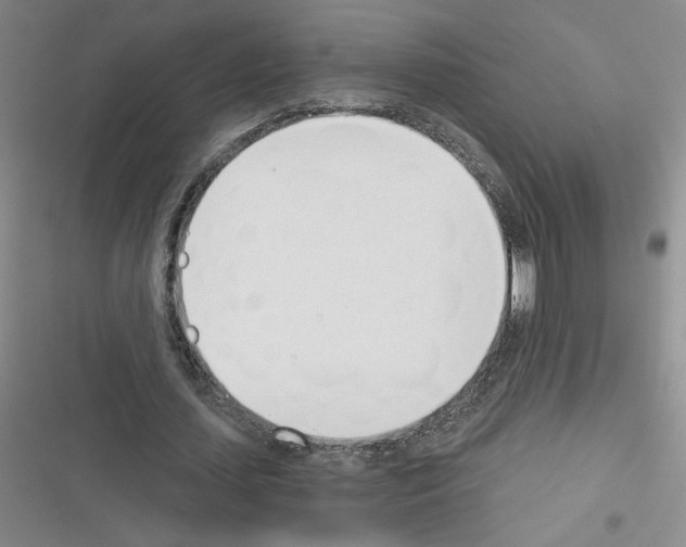 X0000116380627201001131809
