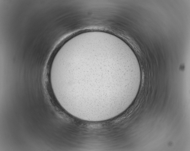 X0000116380628201001131809