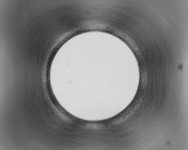 X0000116380629201001131809