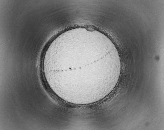 X0000116380630201001131809